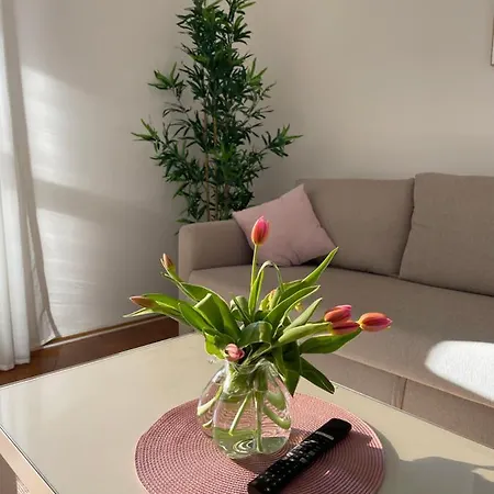 Bella Veruda In Pula