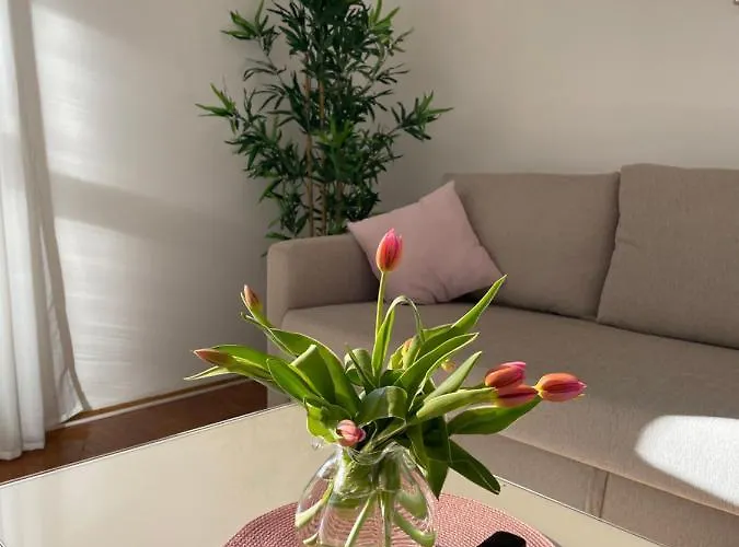 Bella Veruda In Πούλα